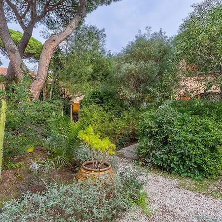 Jean D'agreve-2 By Interhome Holiday home Hyeres